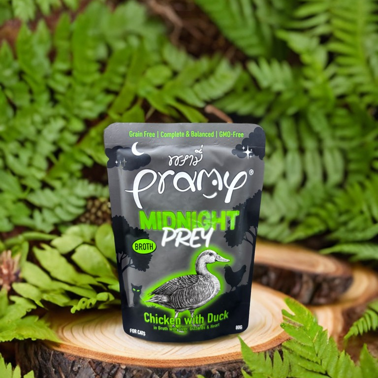 Spouted pouches packaging material and structural design